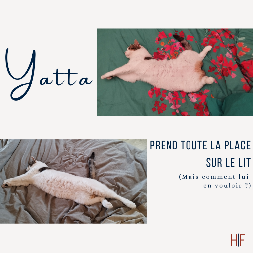 Prend de la place