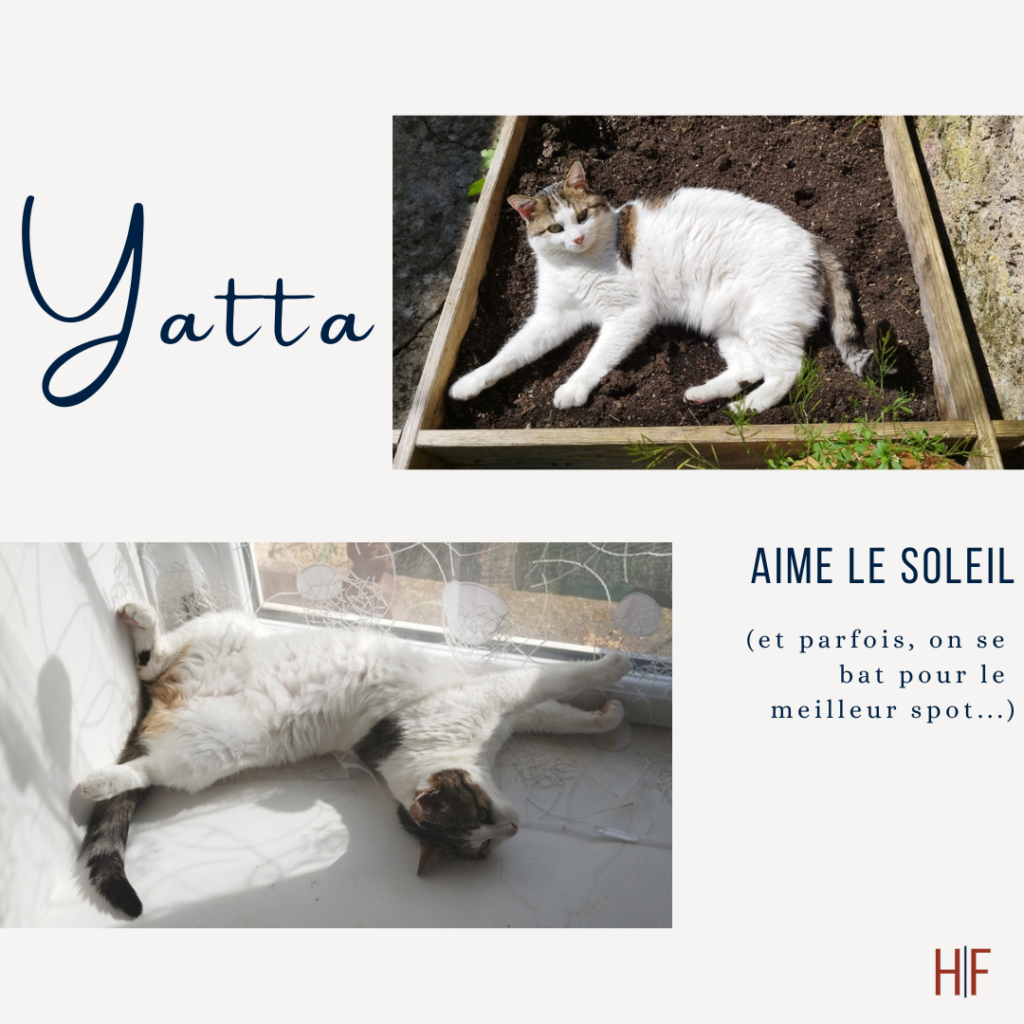 Aime le soleil