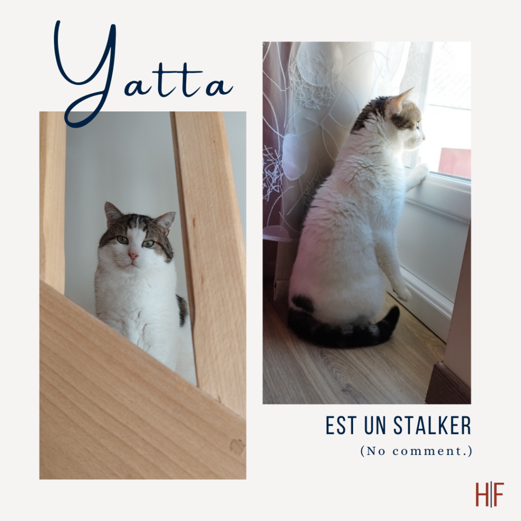Stalker