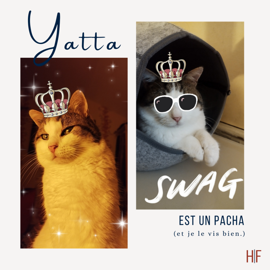 Swag
