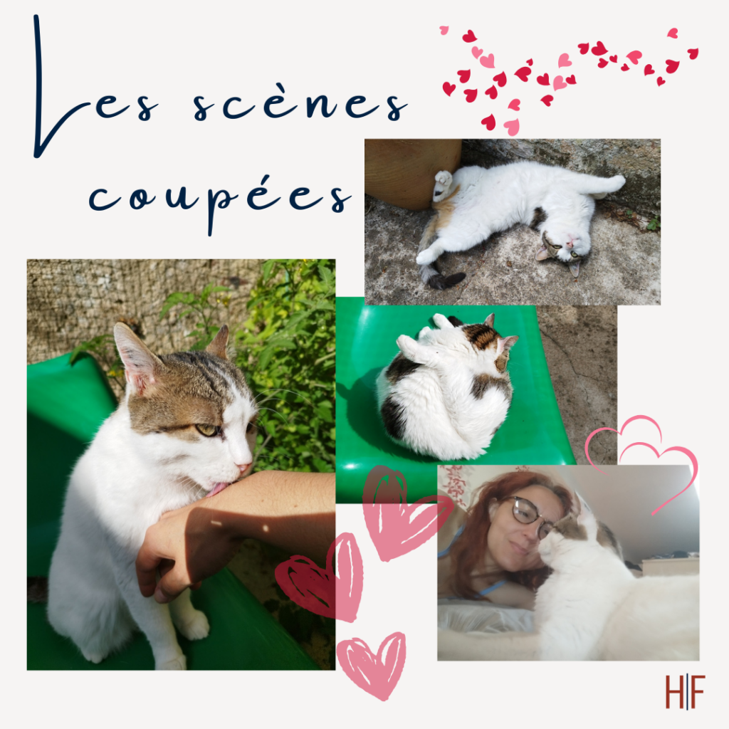 Scènes coupées